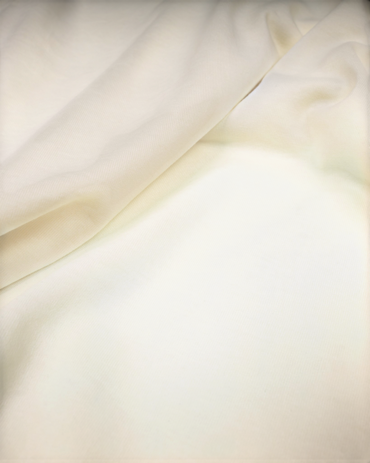 CNFTB-yellow-studio-20261002-04